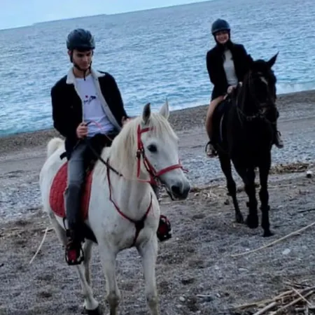 Lejlighed Seal Of Deer - Castle View - 5 Minute Walk To The Rhodes City